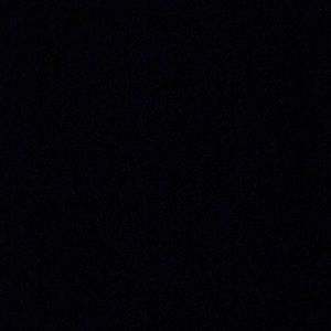 Meet your Posher, Jackson